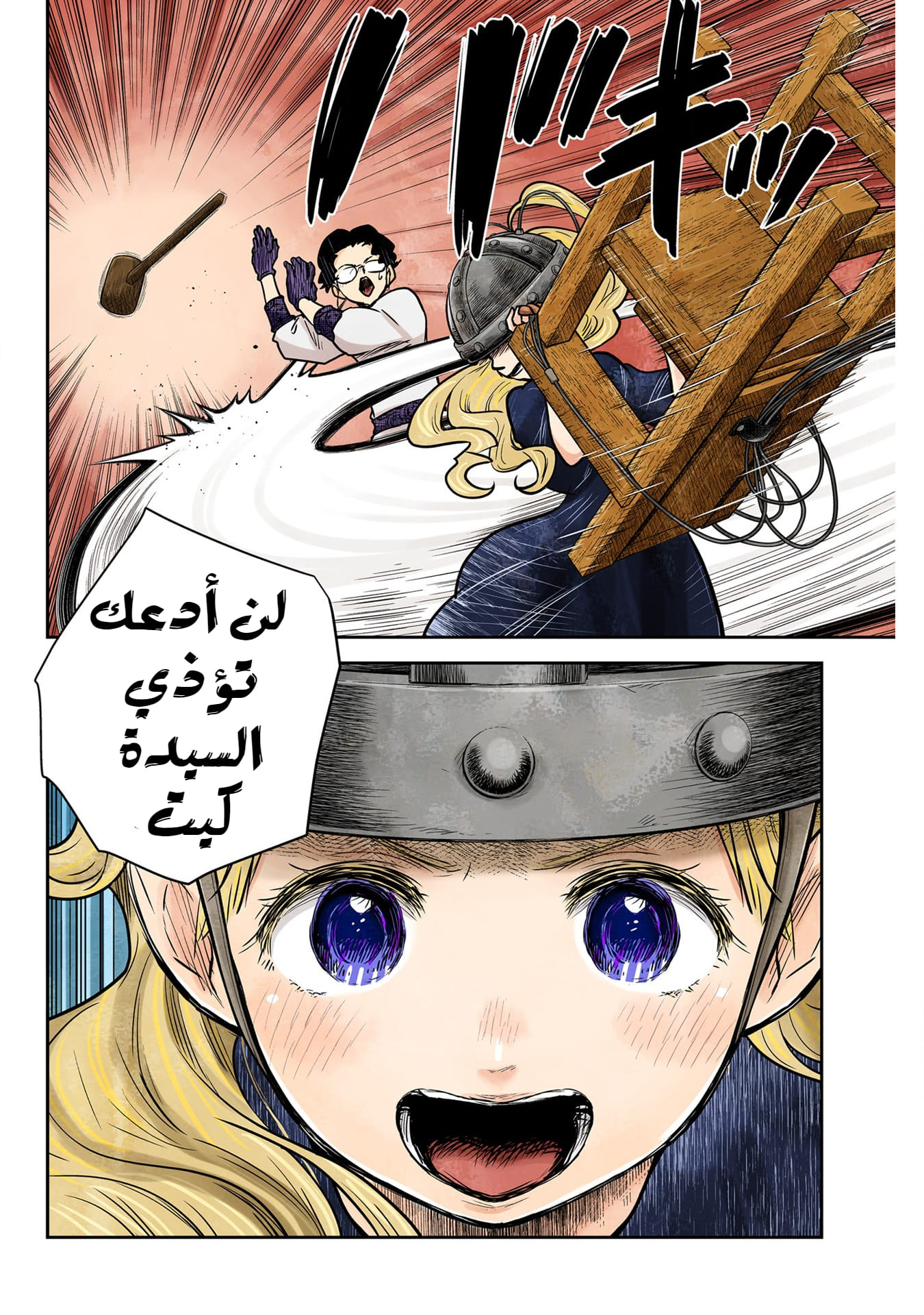 الصفحة 17