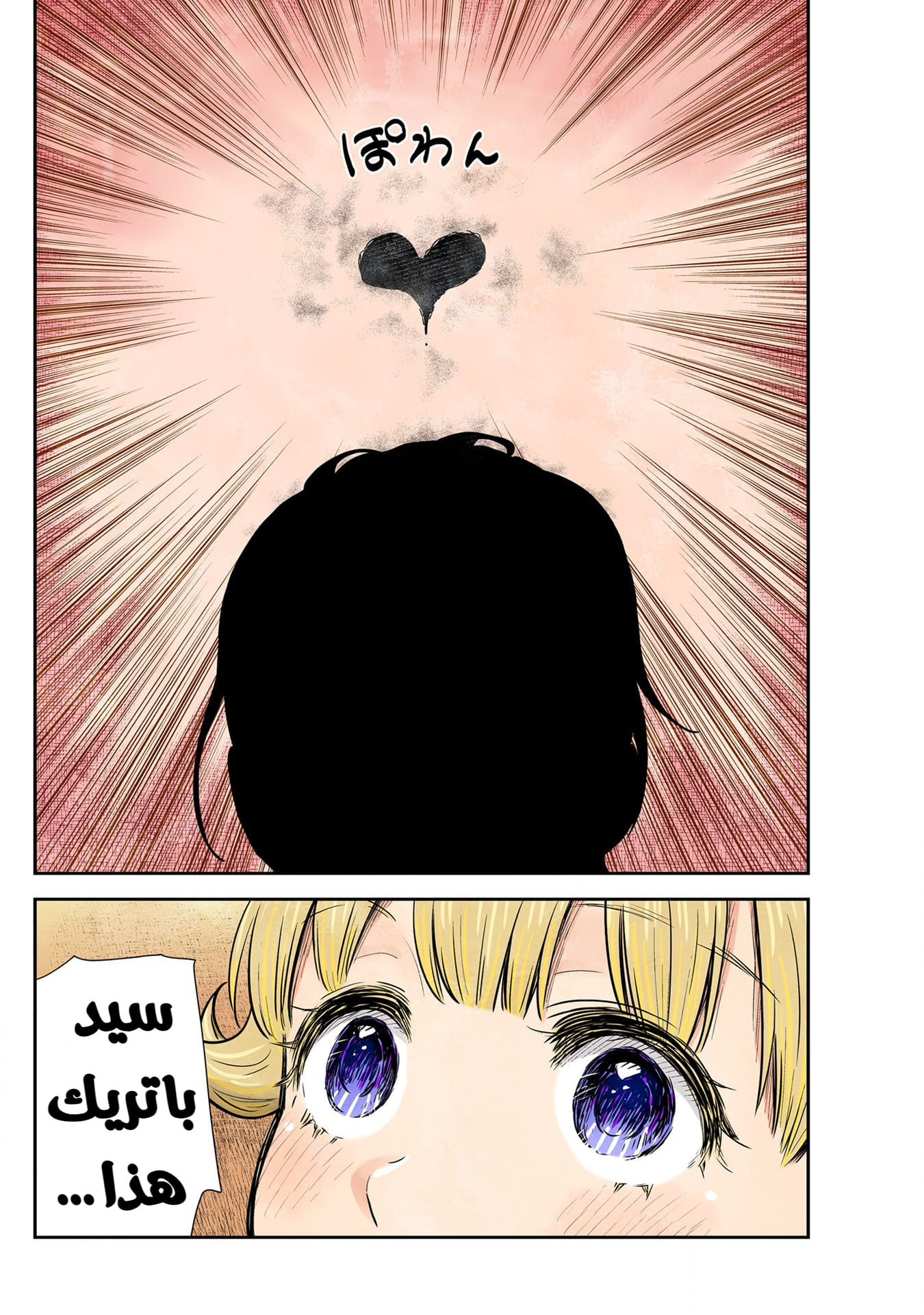 الصفحة 17