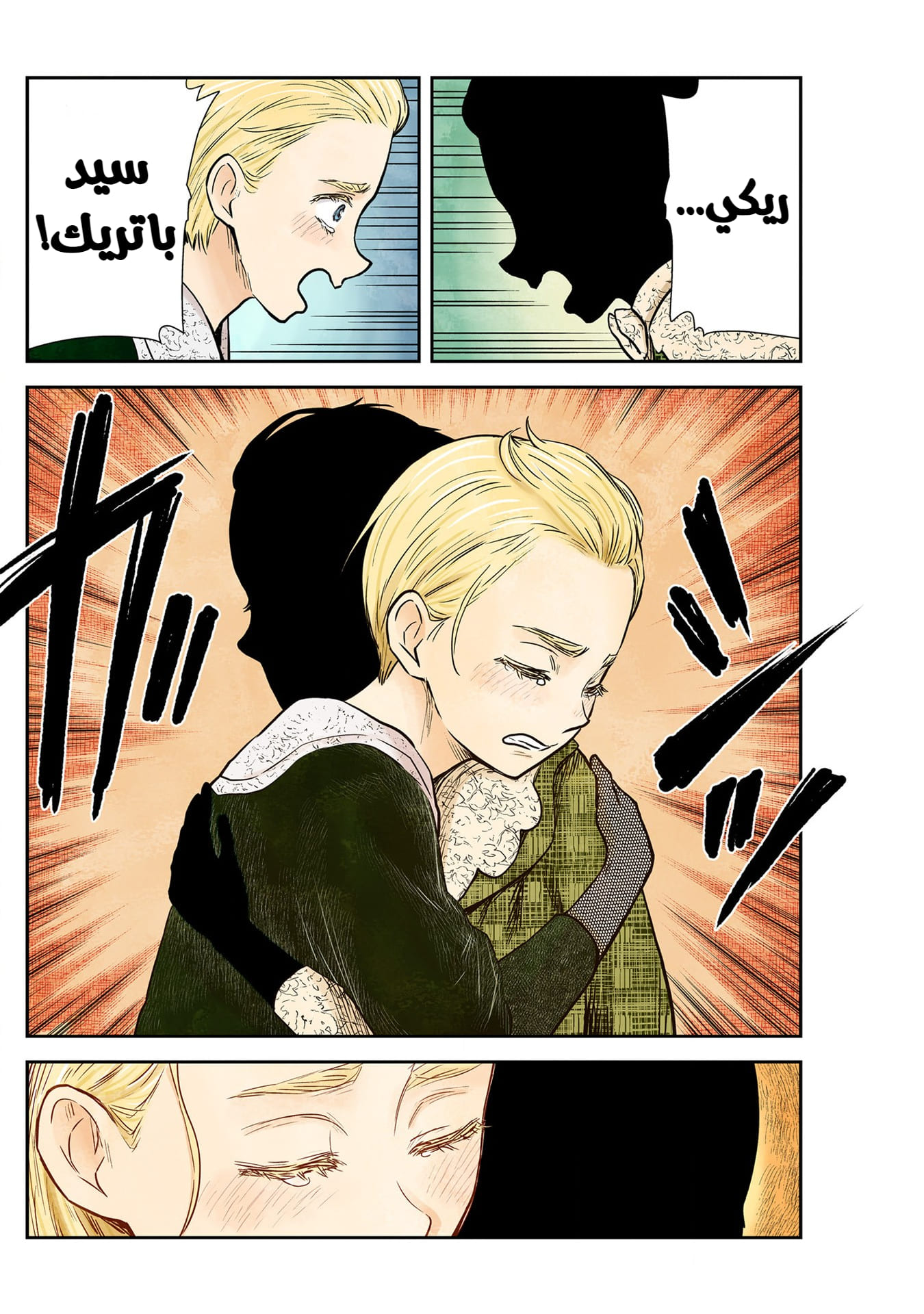 الصفحة 13