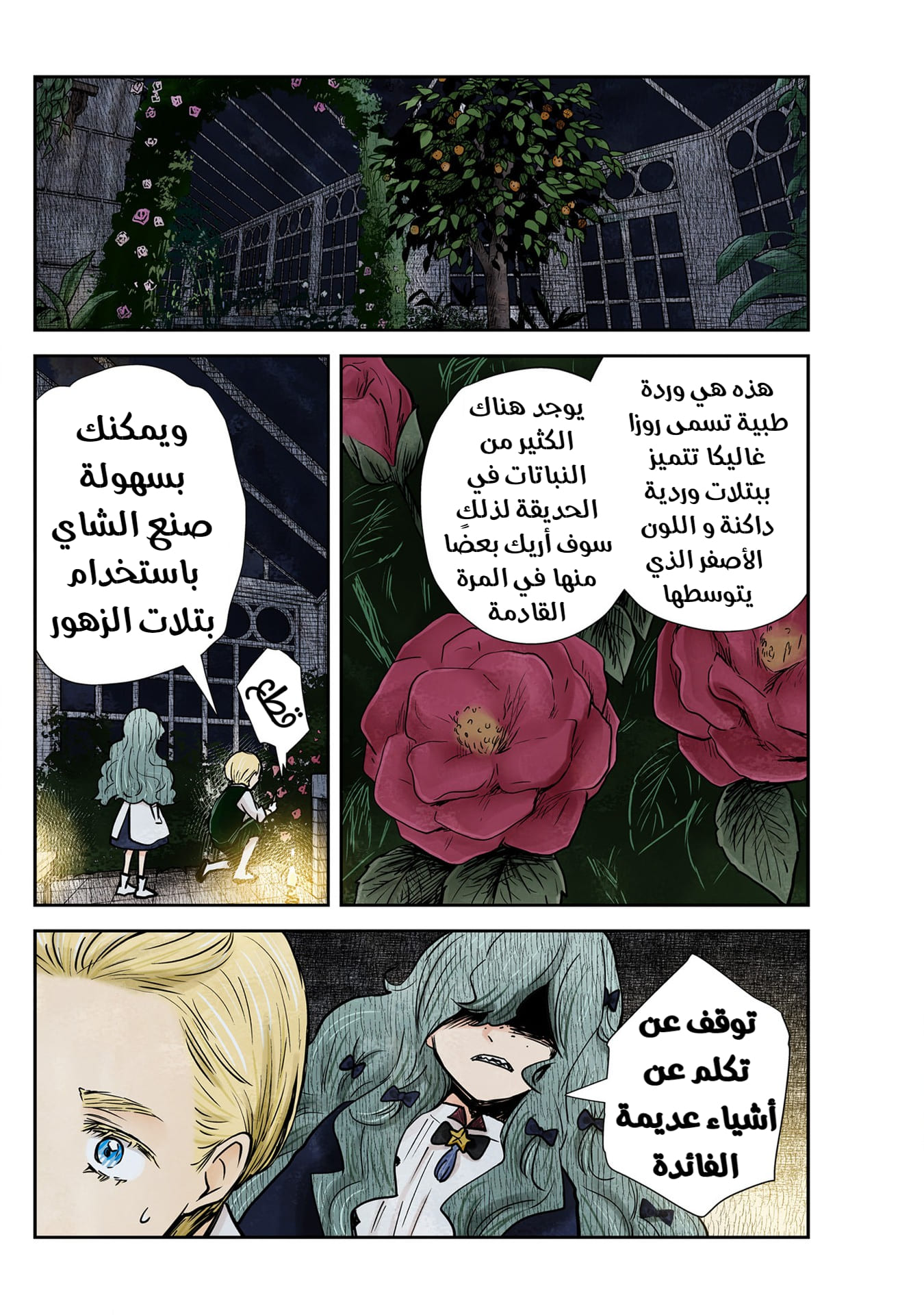 الصفحة 5