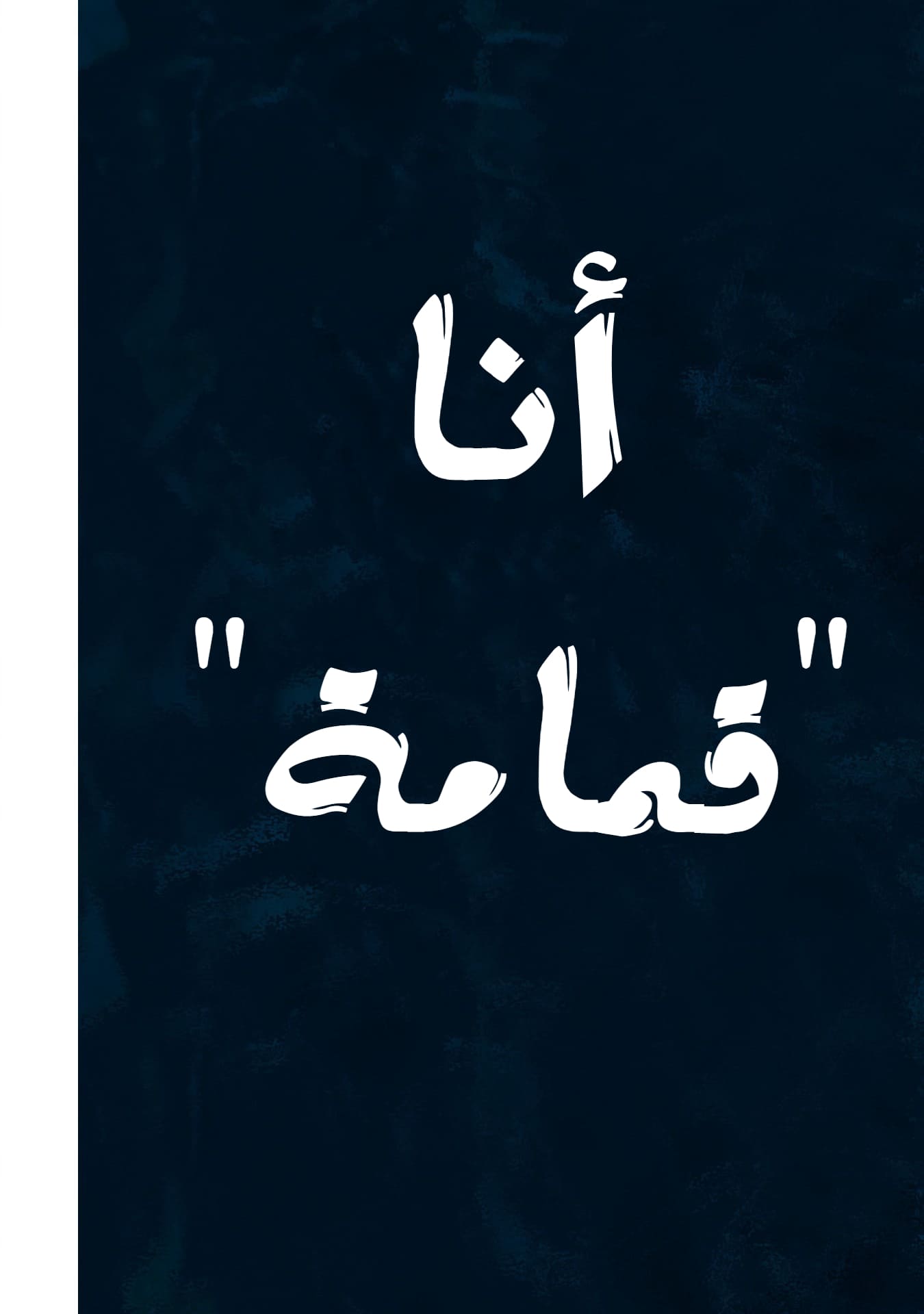 الصفحة 17