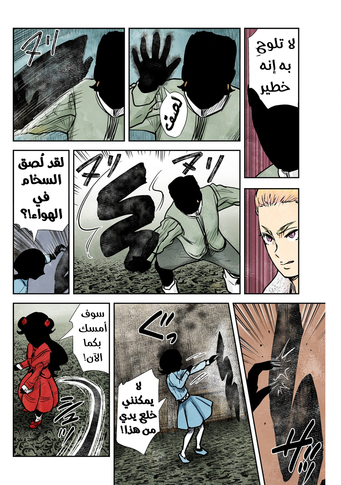 الصفحة 13