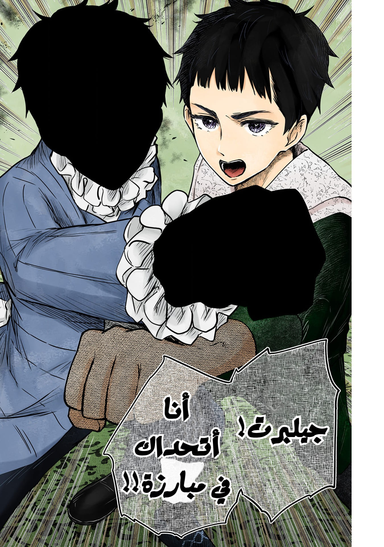 الصفحة 17