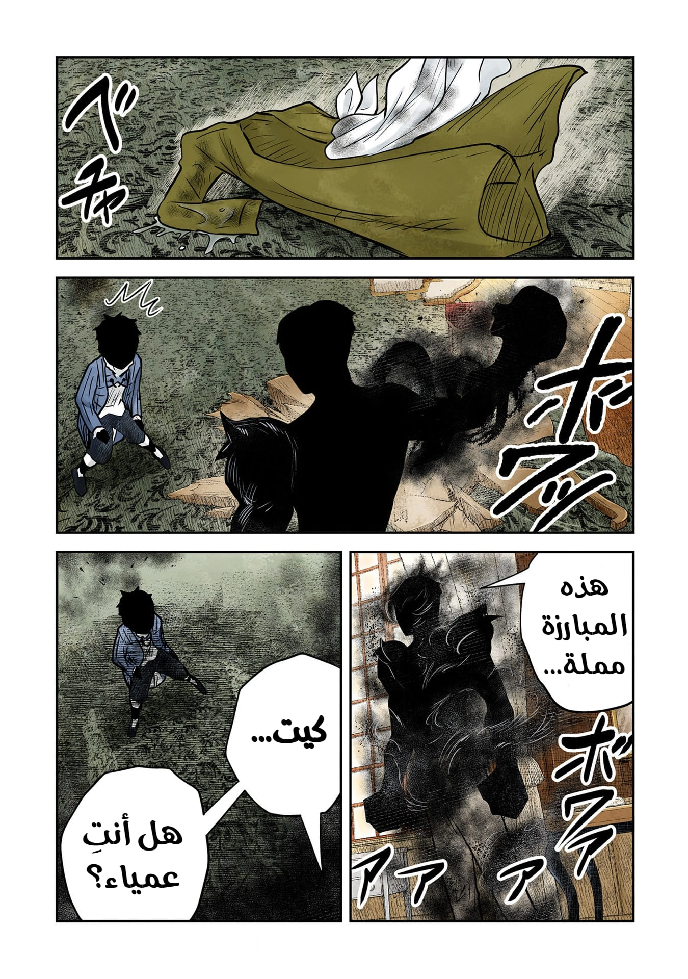 الصفحة 17