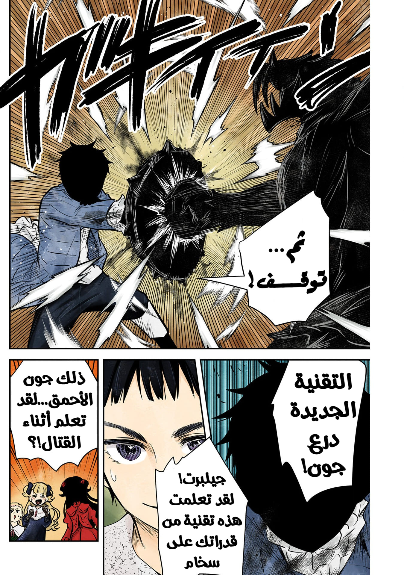 الصفحة 13