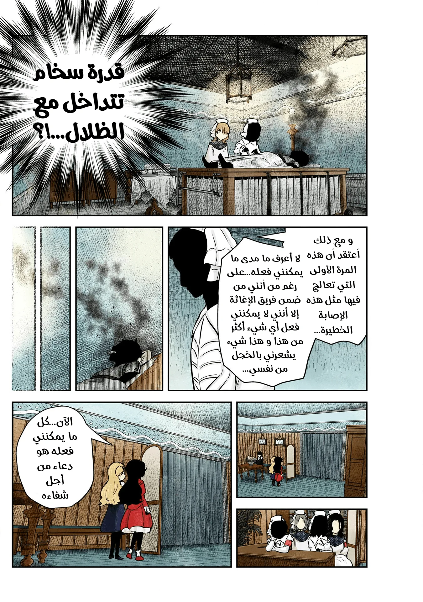 الصفحة 13