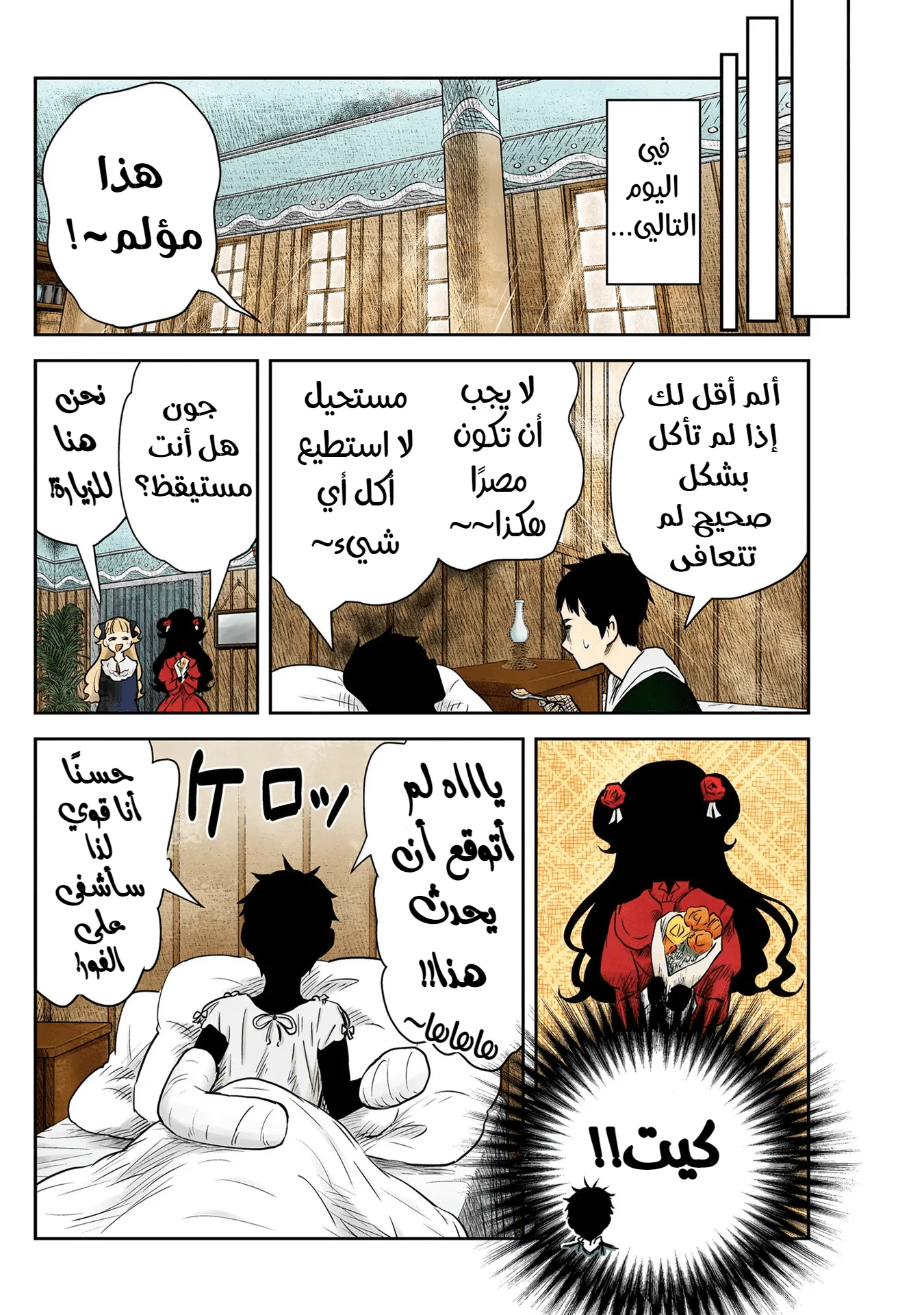 الصفحة 13
