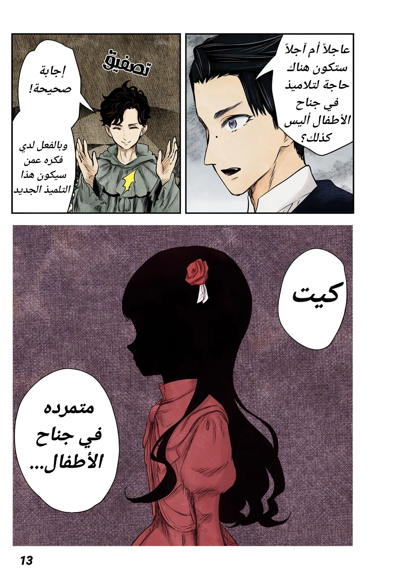 الصفحة 13