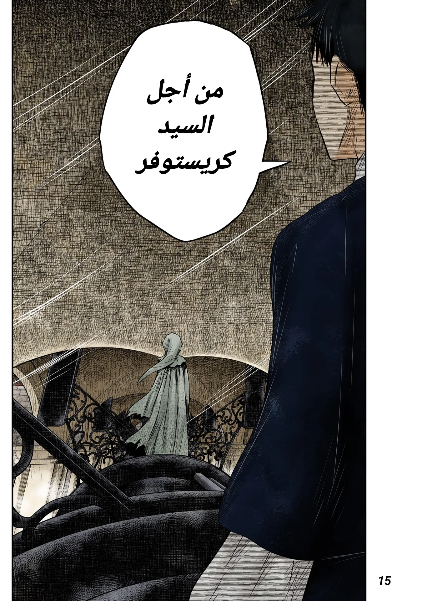 الصفحة 15