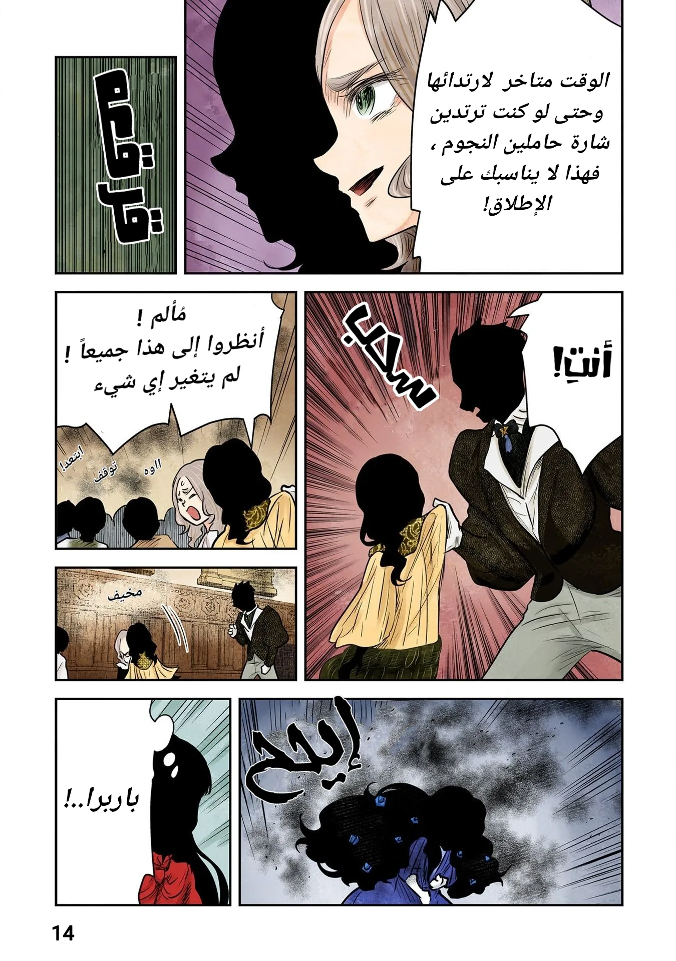 الصفحة 14