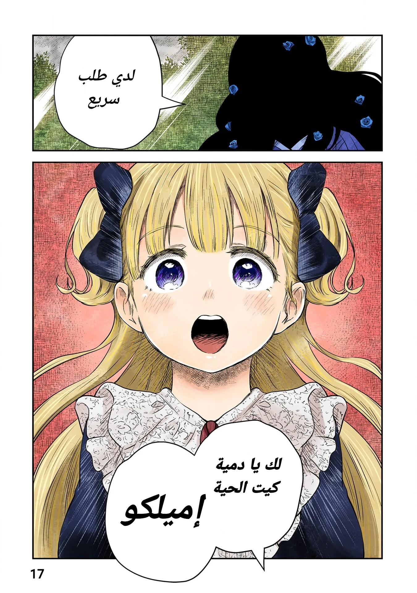 الصفحة 17