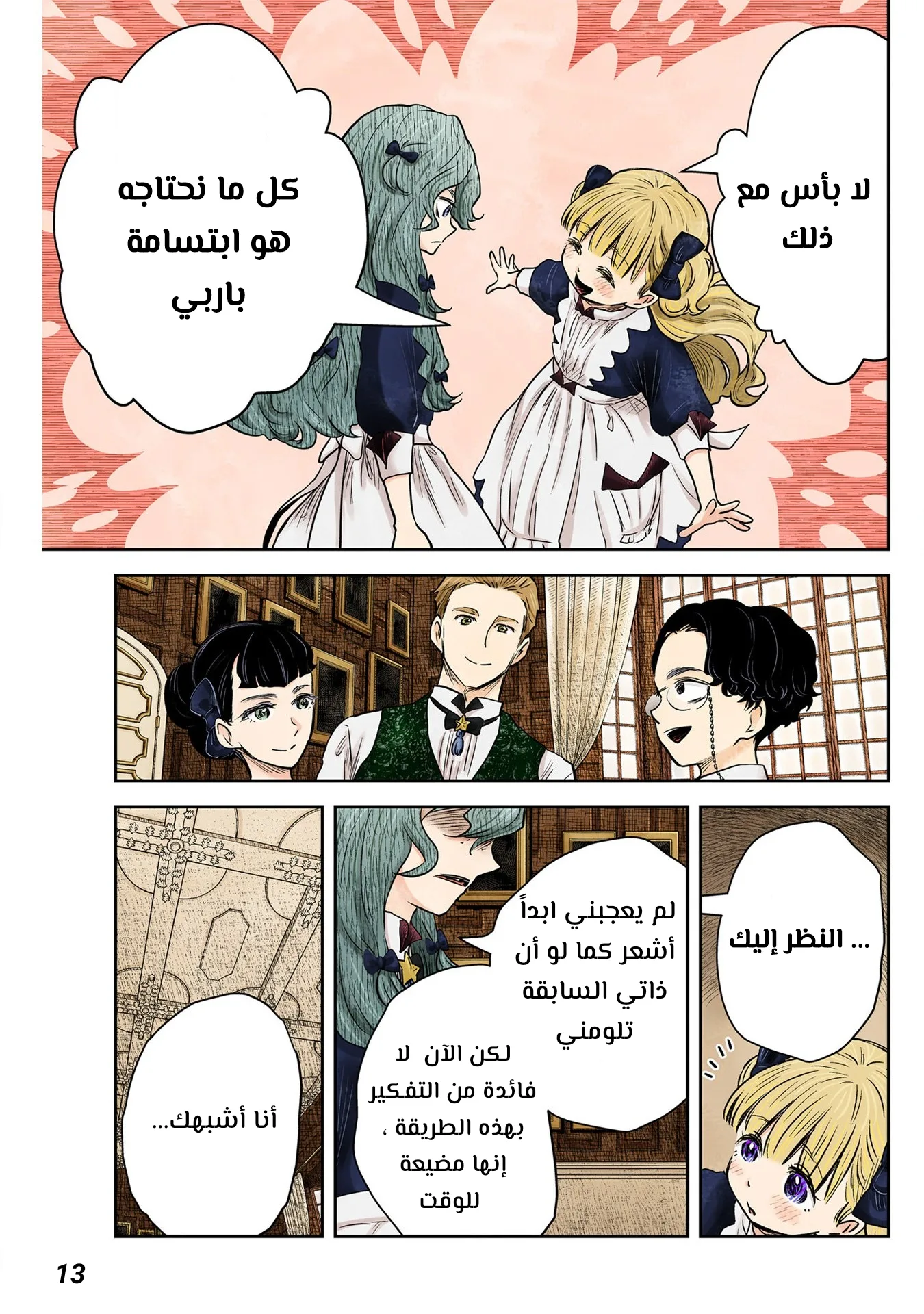 الصفحة 13