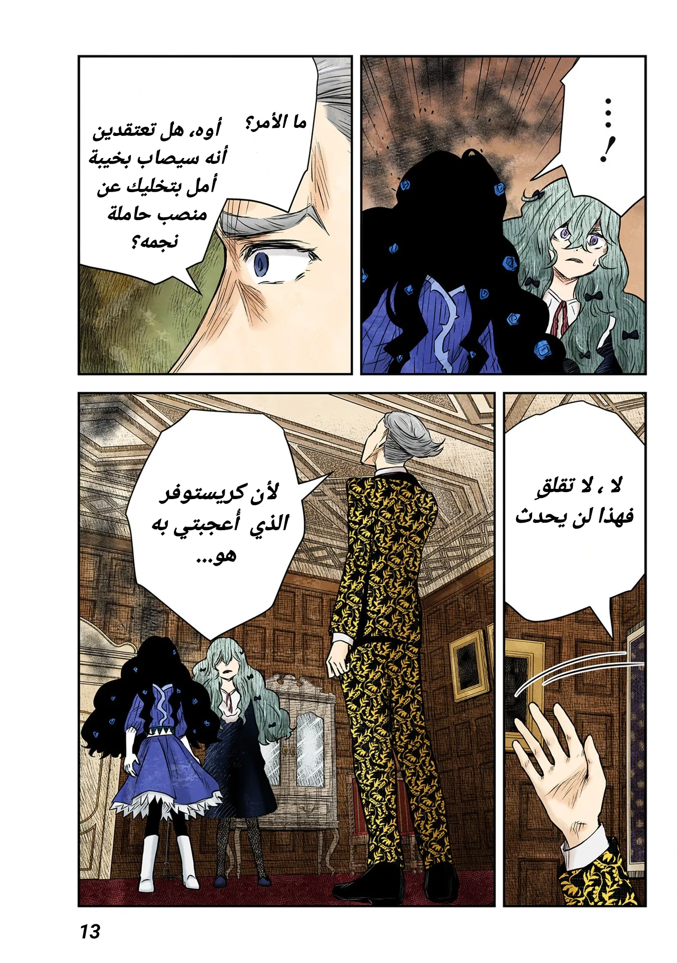 الصفحة 13
