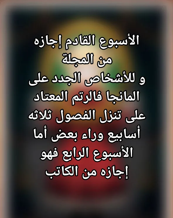 الصفحة 17