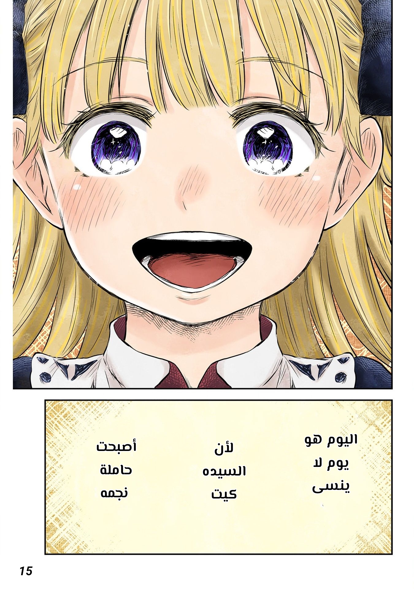 الصفحة 15