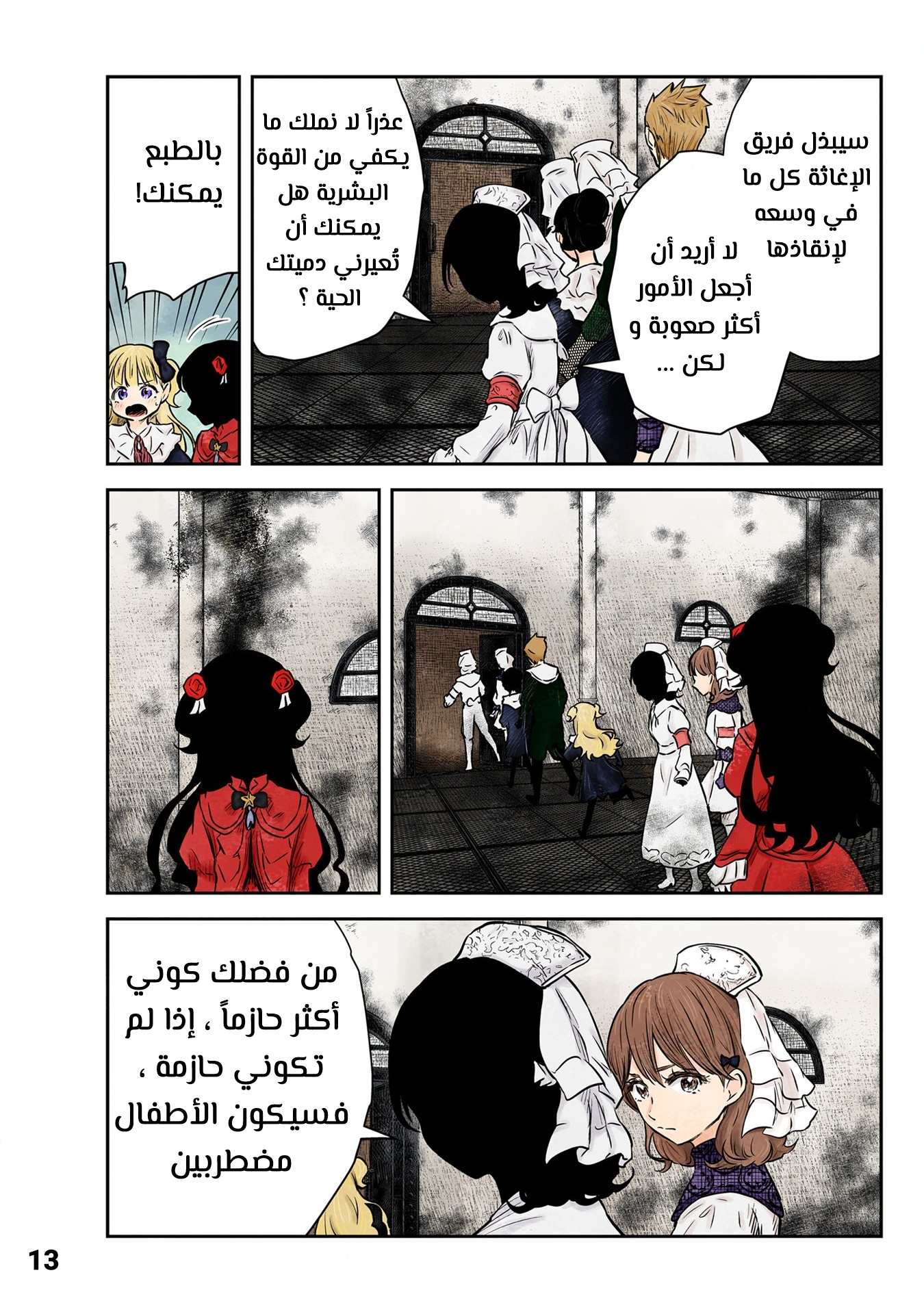 الصفحة 13
