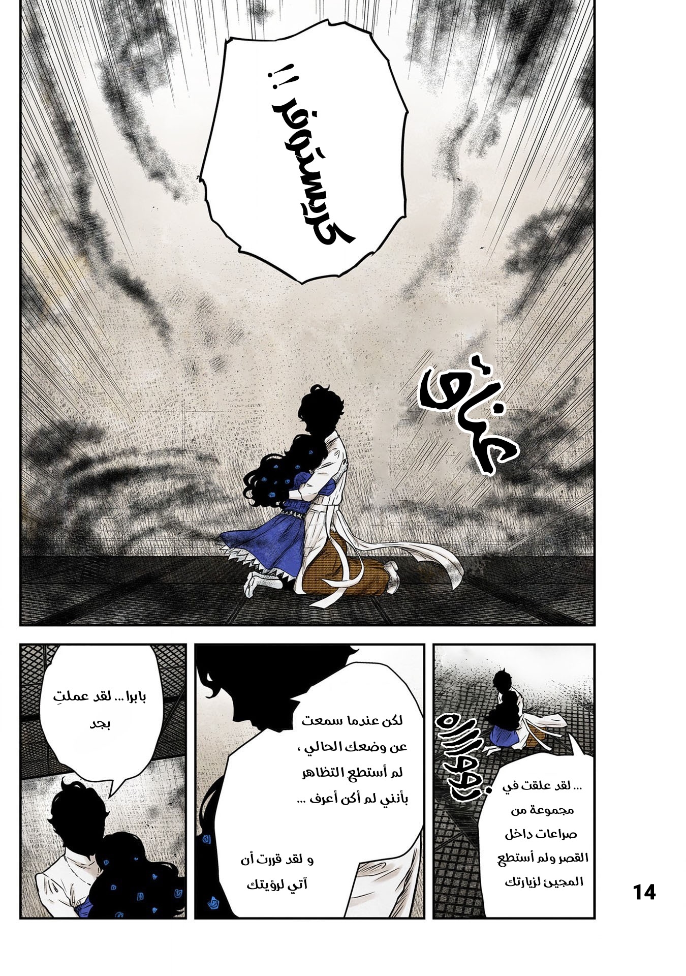 الصفحة 14