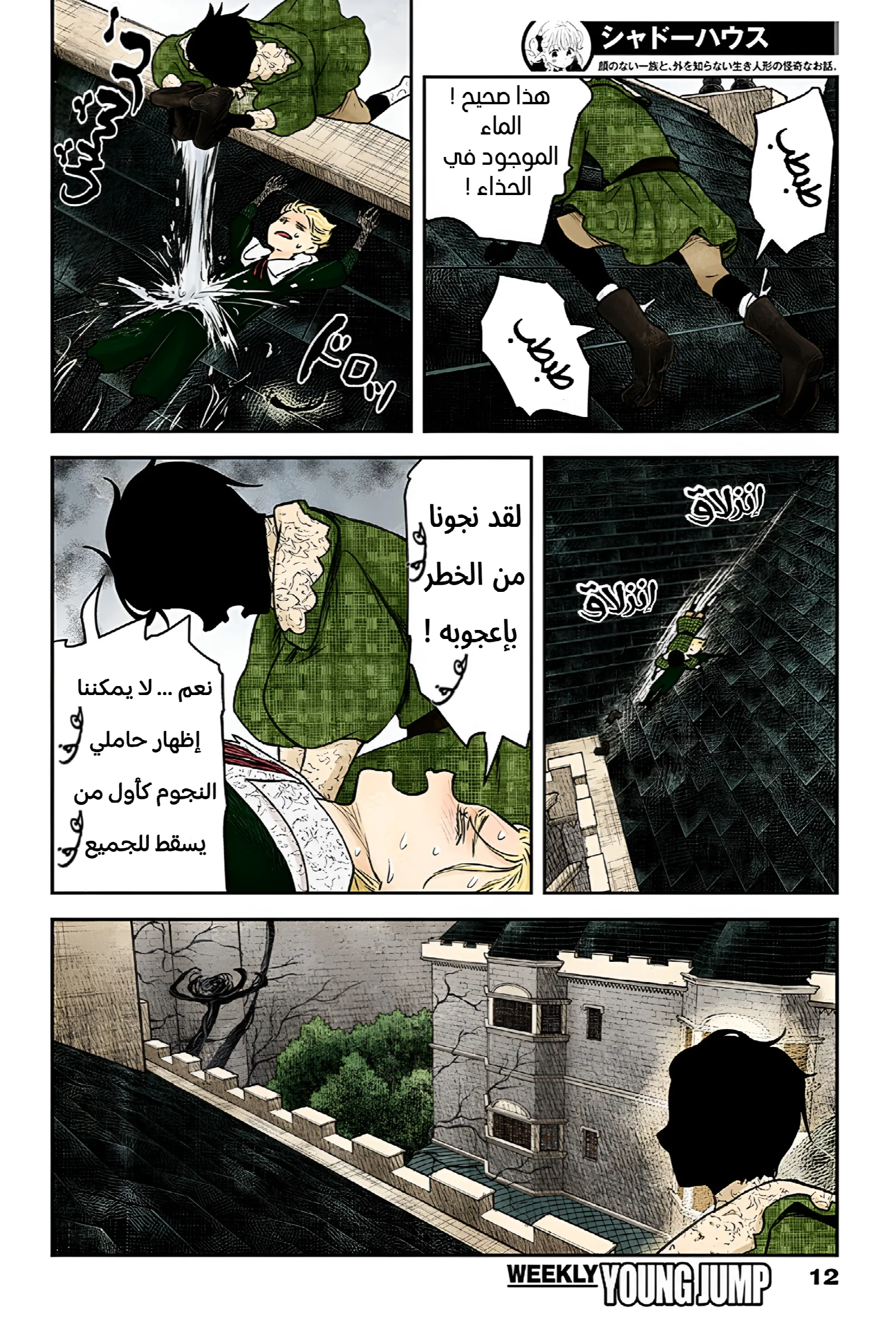الصفحة 12