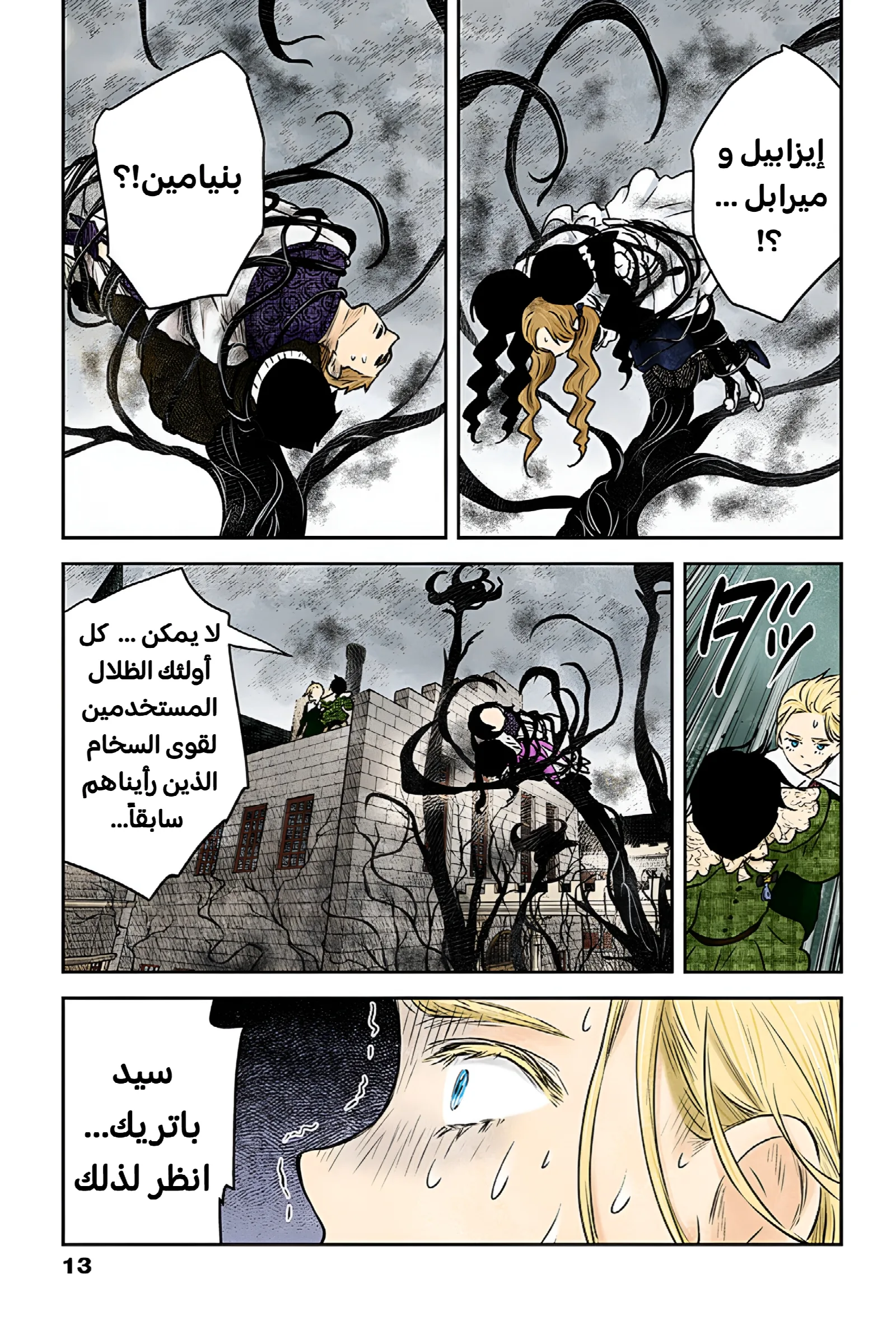 الصفحة 13