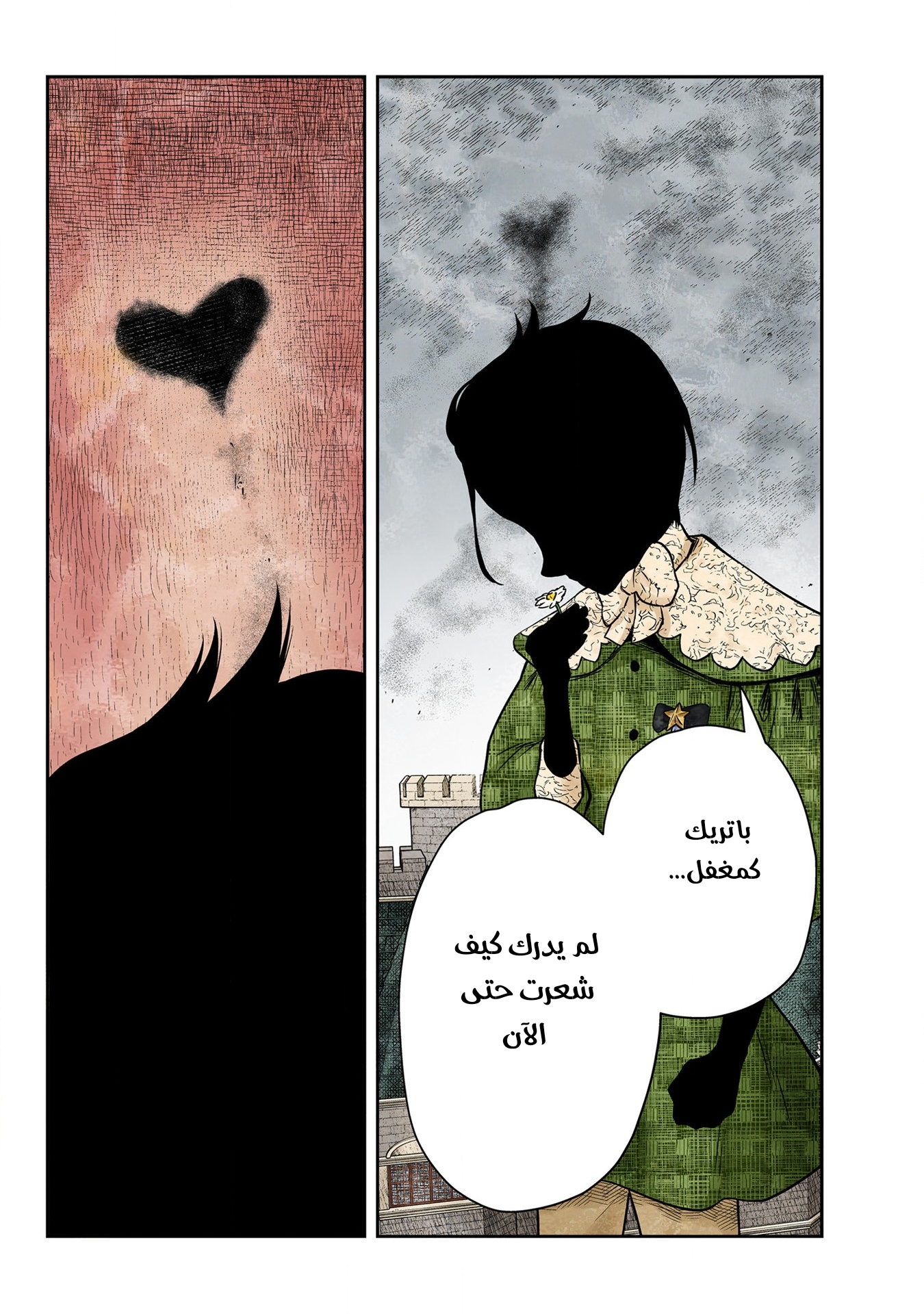 الصفحة 14