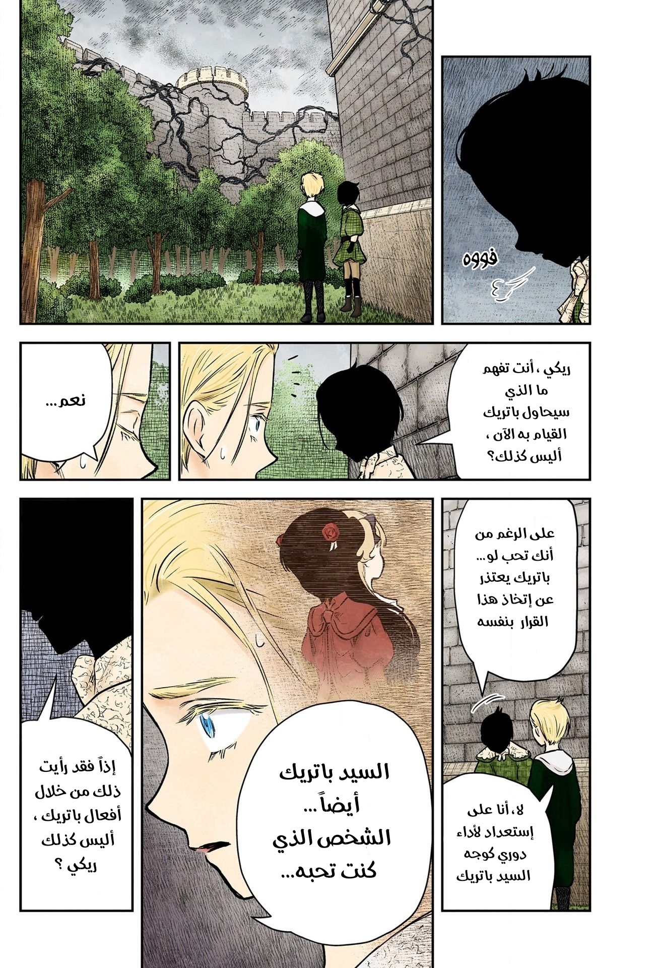 الصفحة 13