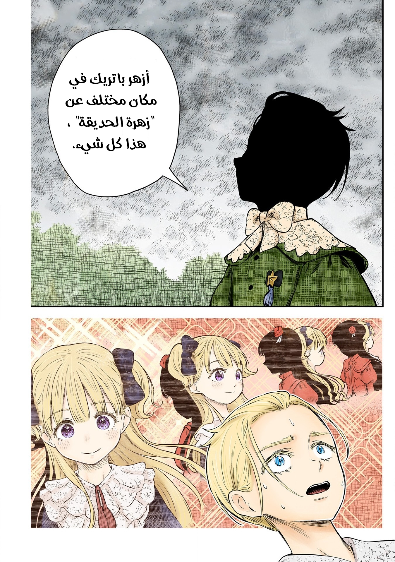الصفحة 14