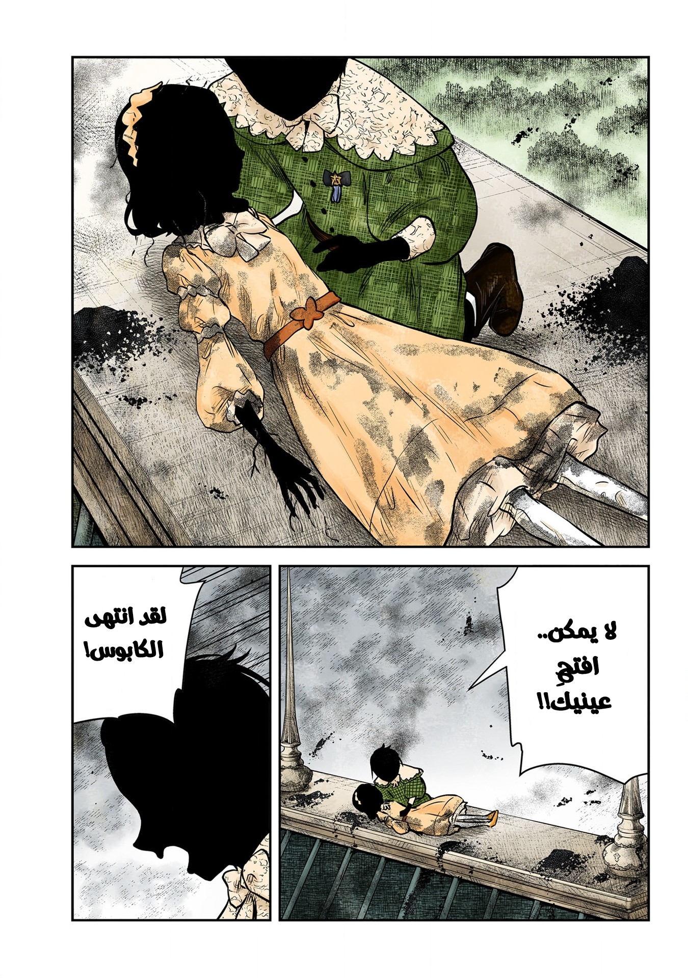 الصفحة 12