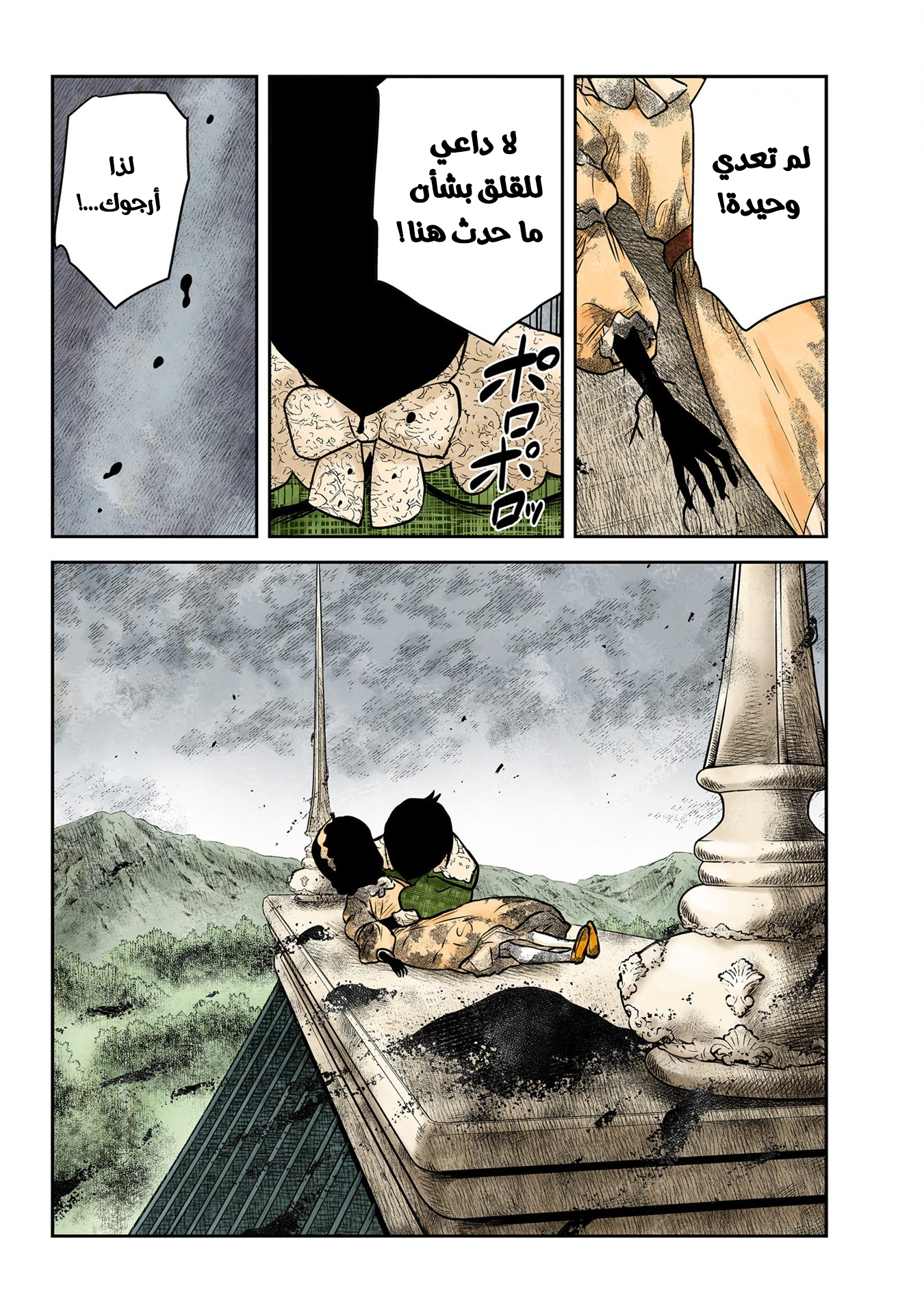 الصفحة 13