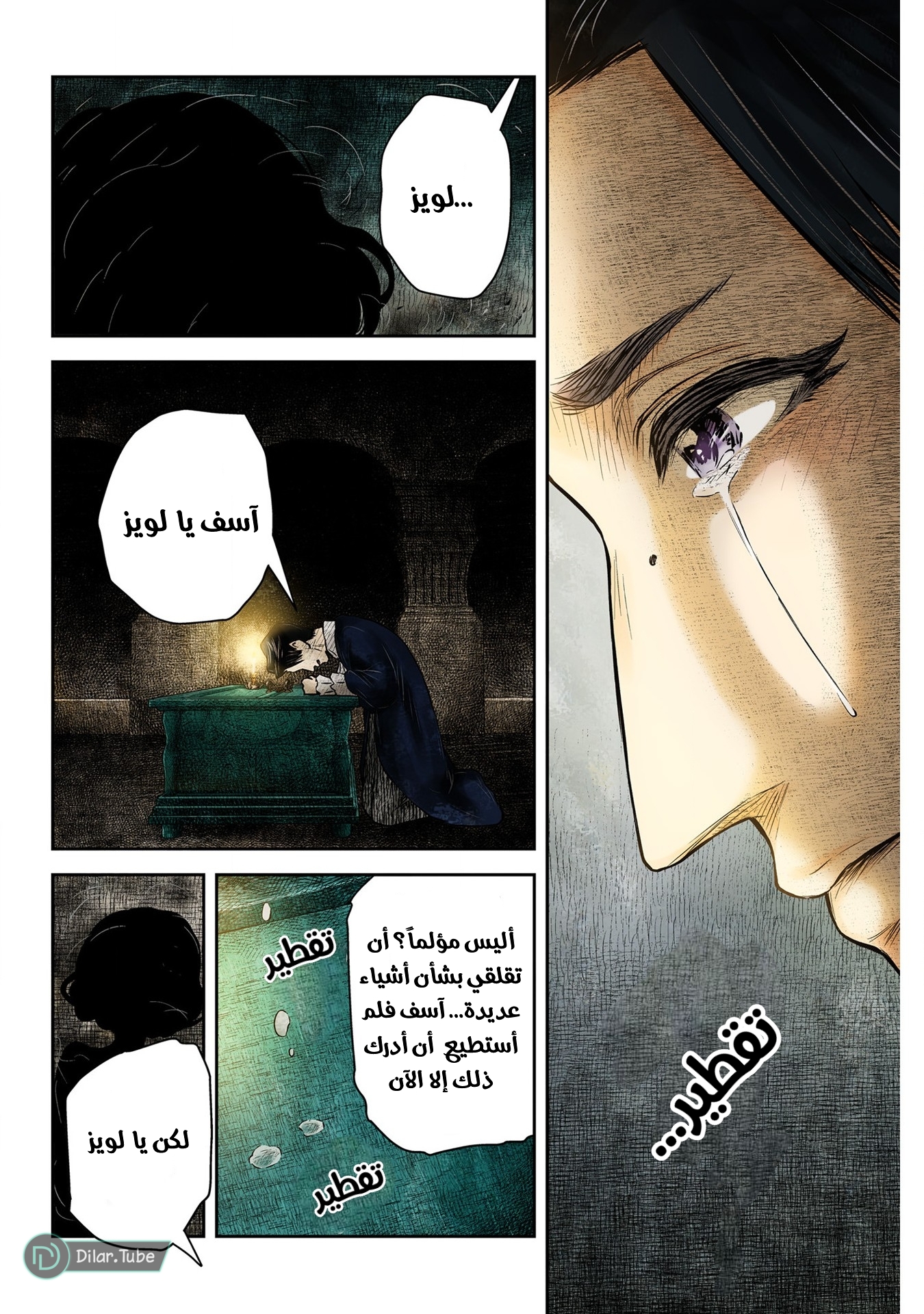 الصفحة 12