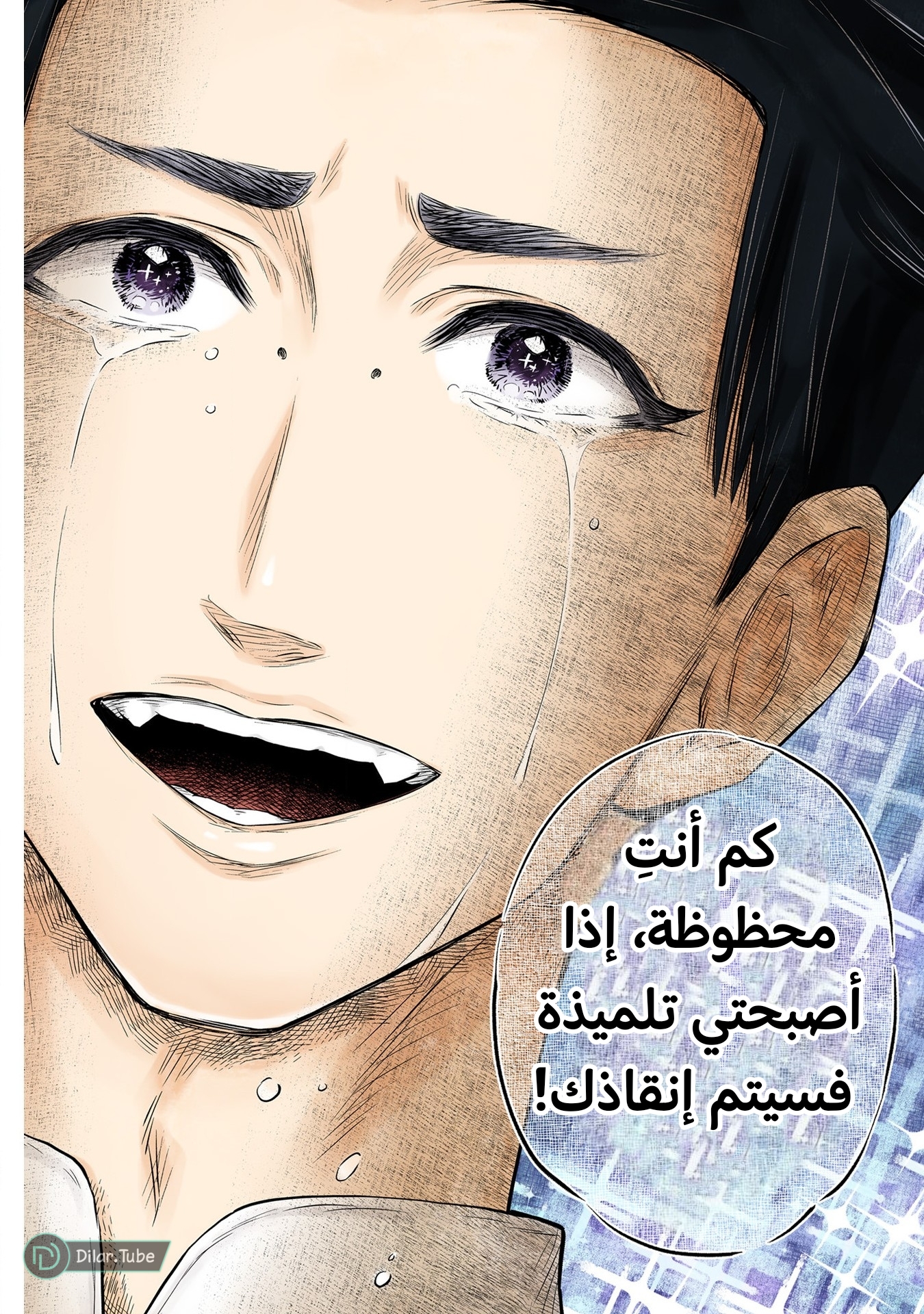 الصفحة 13