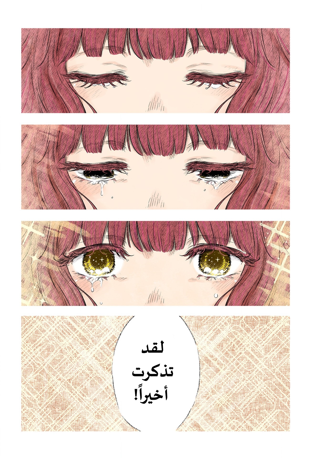 الصفحة 17