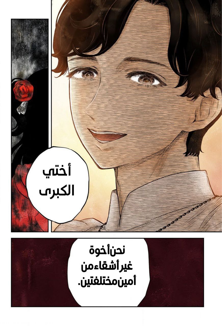 الصفحة 17