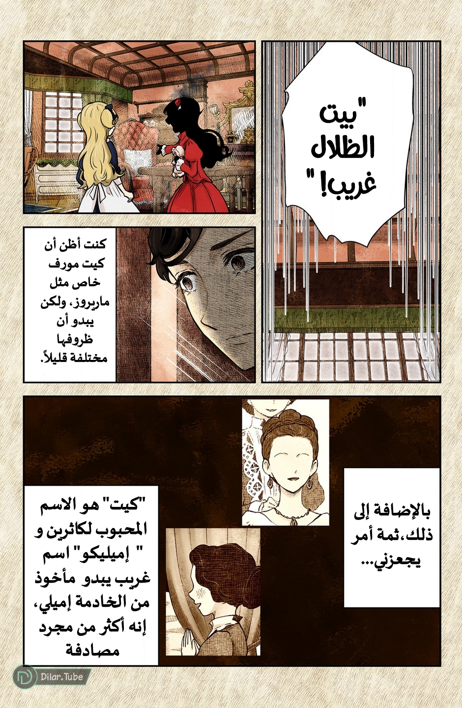 الصفحة 13
