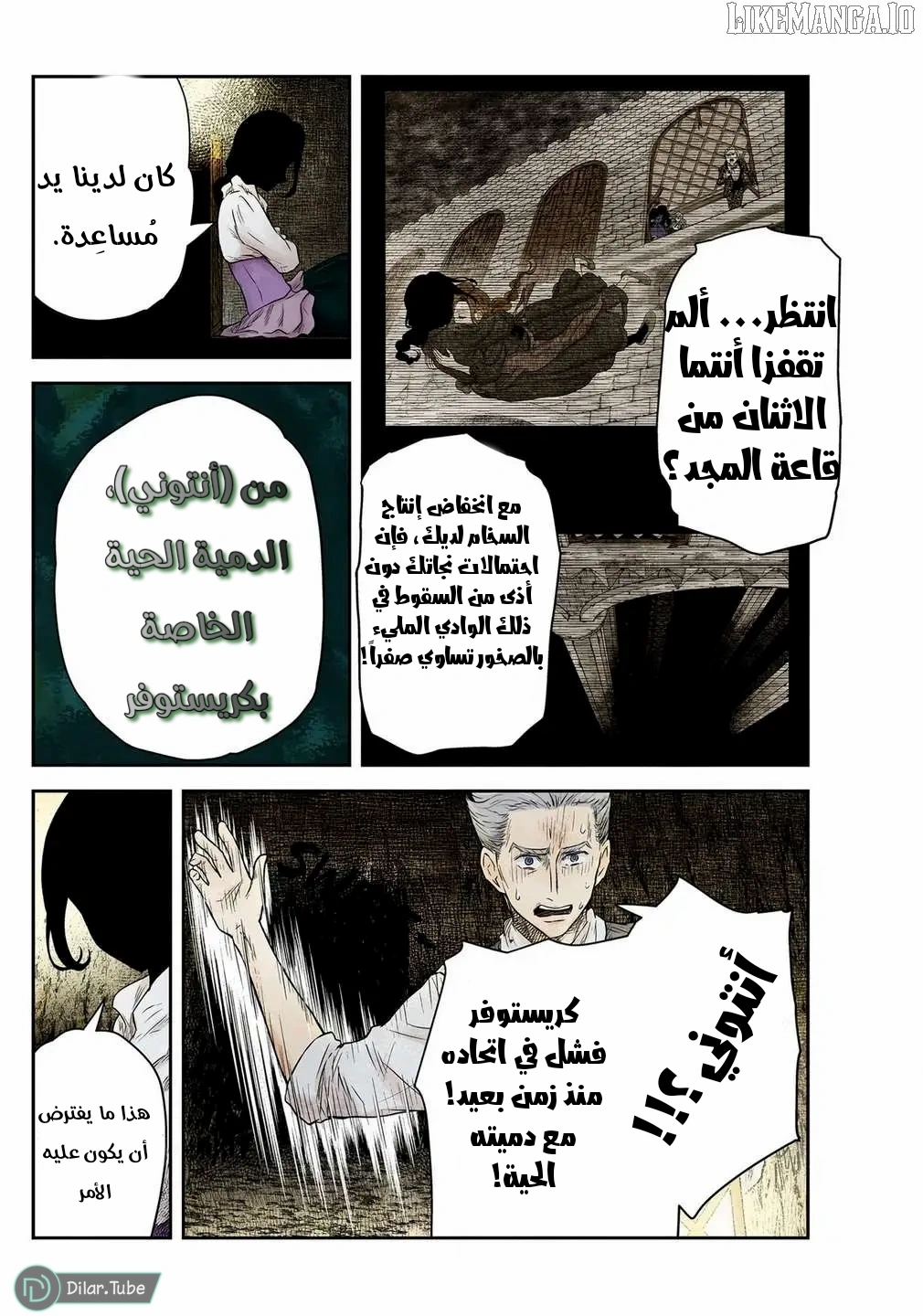 الصفحة 3