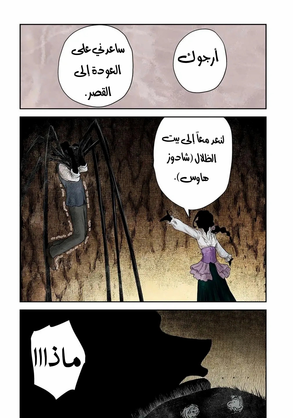 الصفحة 17