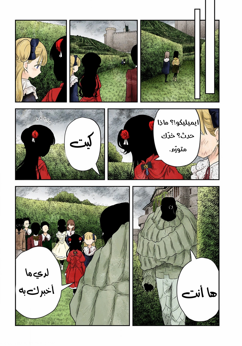 الصفحة 17