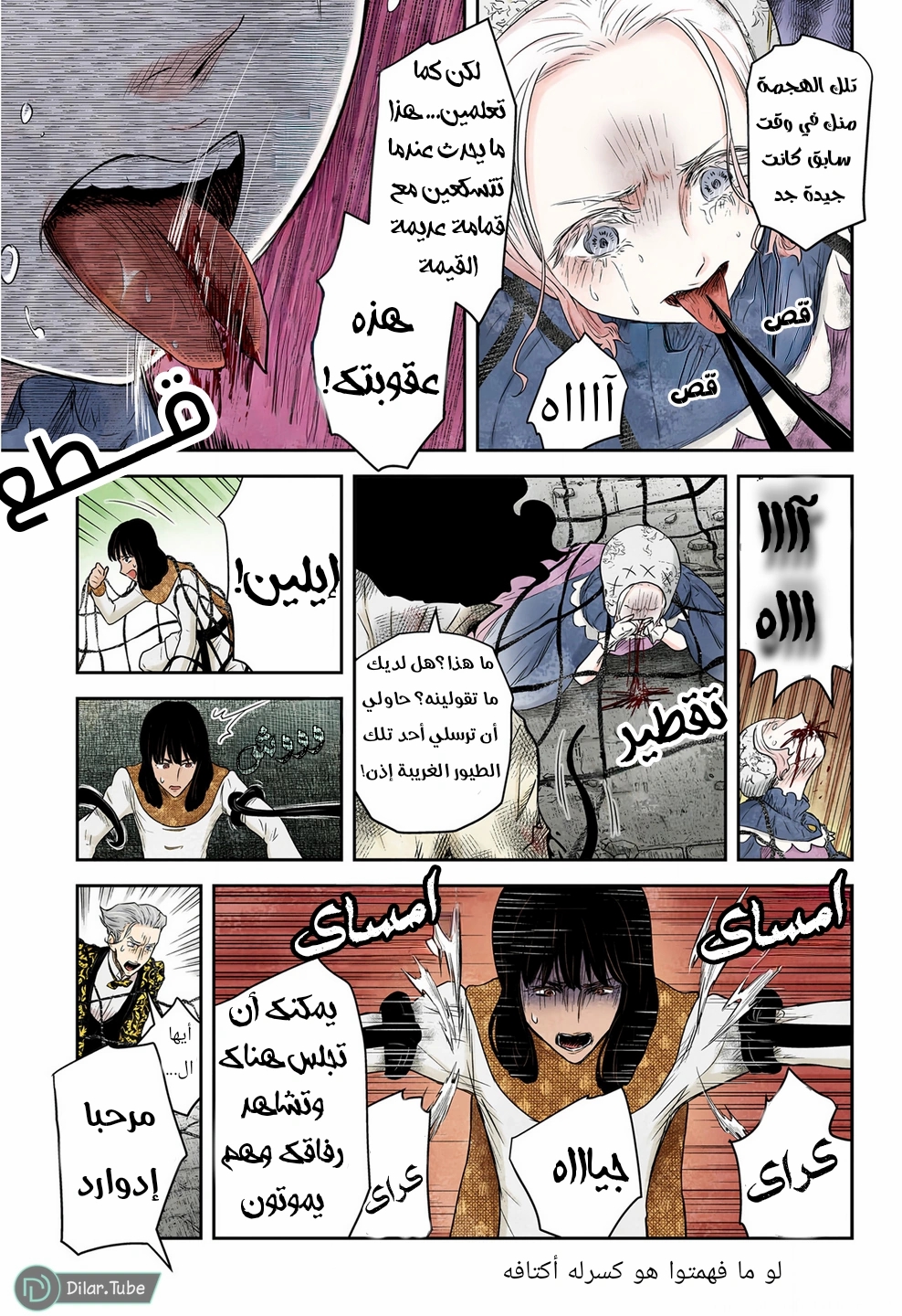 الصفحة 11