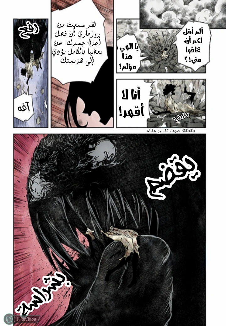 الصفحة 11
