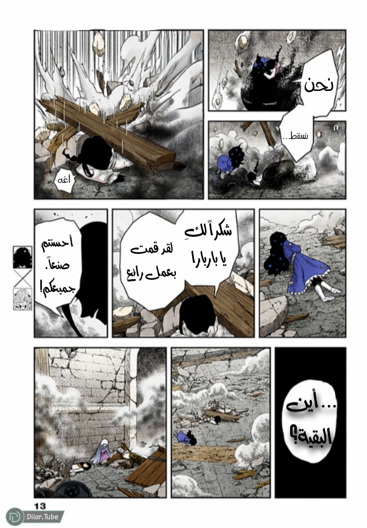 الصفحة 14