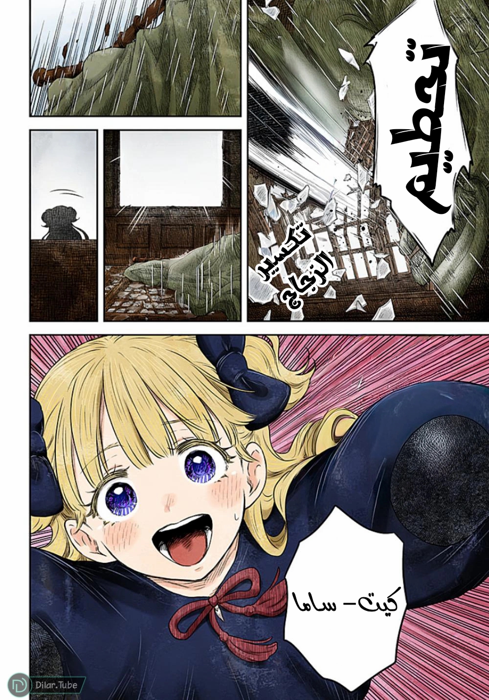 الصفحة 13