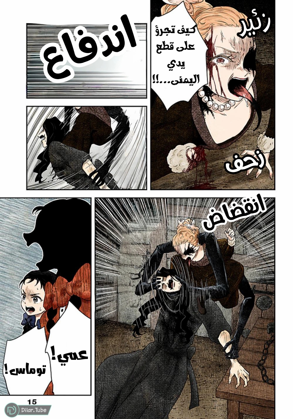 الصفحة 17