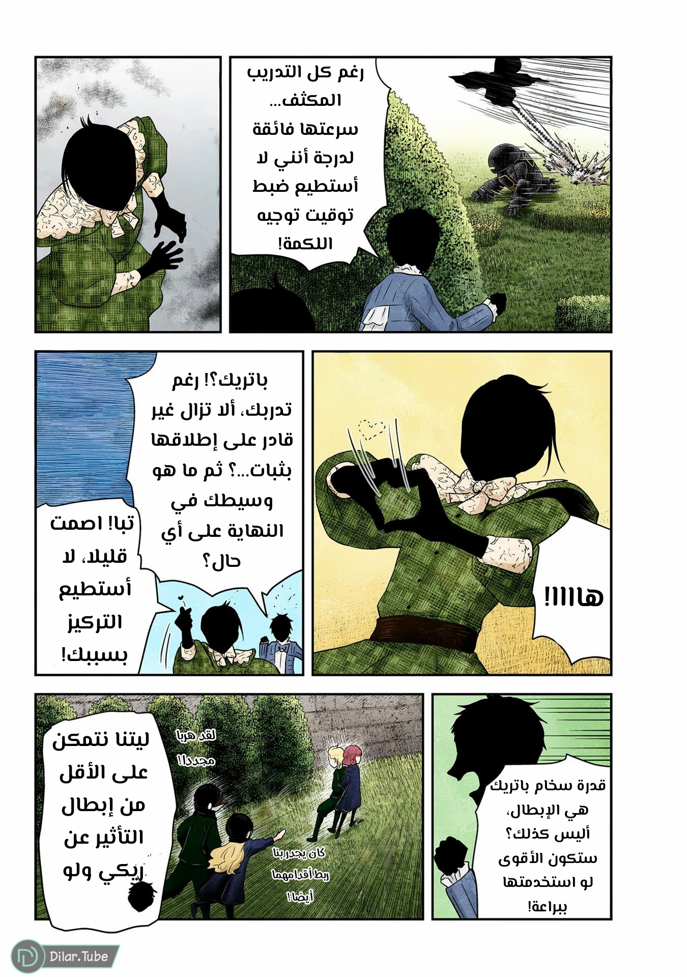 الصفحة 13