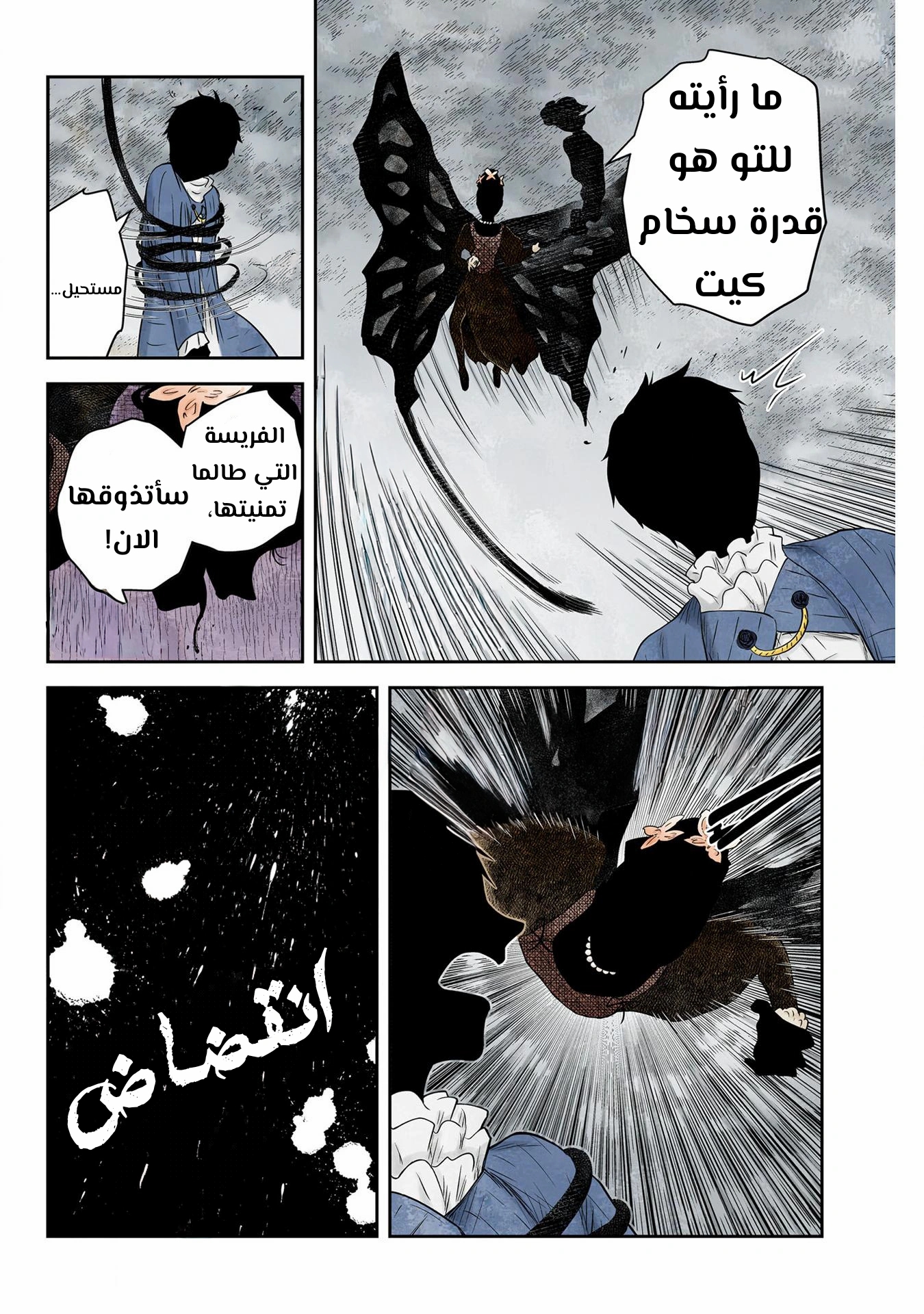 الصفحة 17