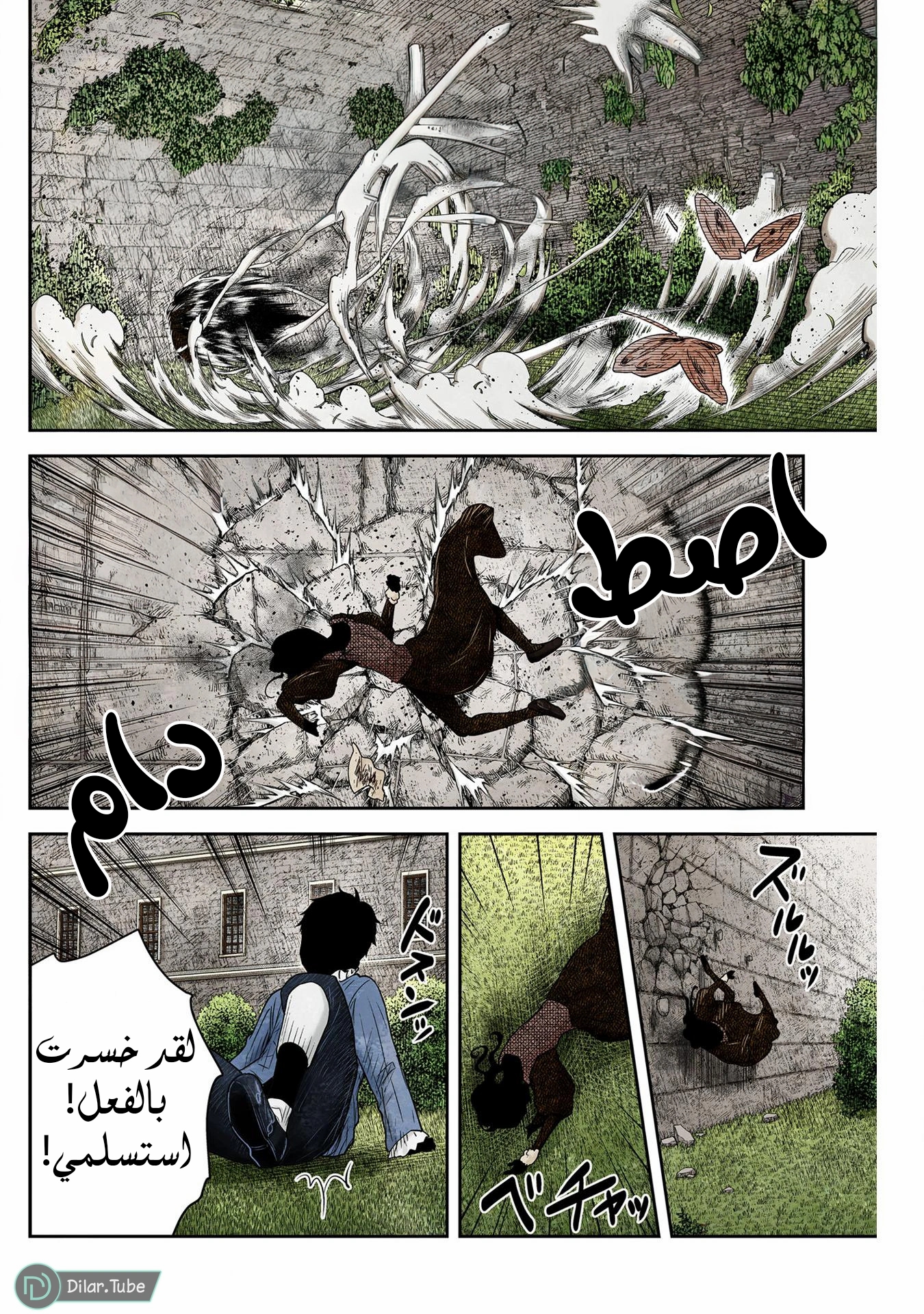 الصفحة 7