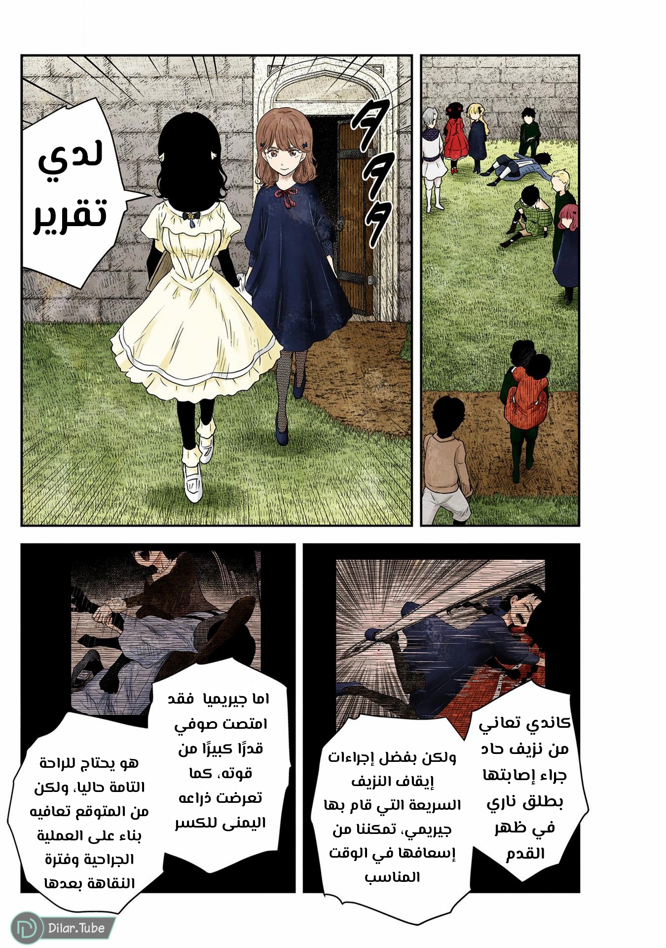 الصفحة 11