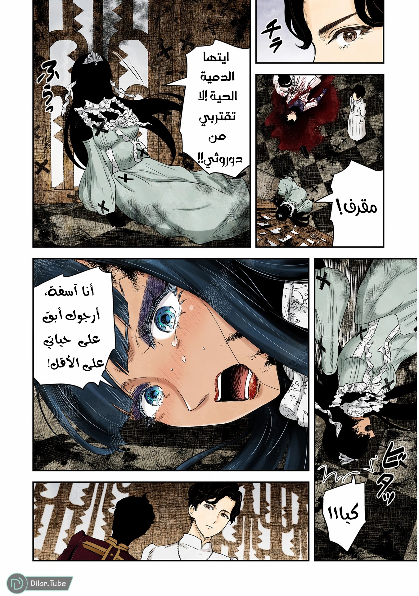 الصفحة 12