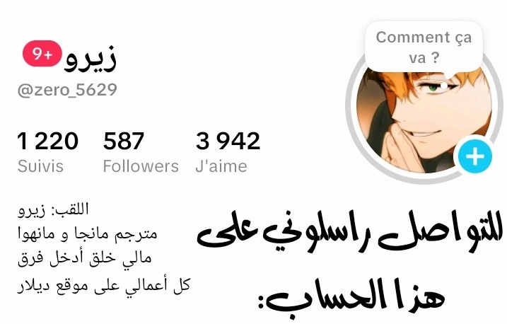 الصفحة 17