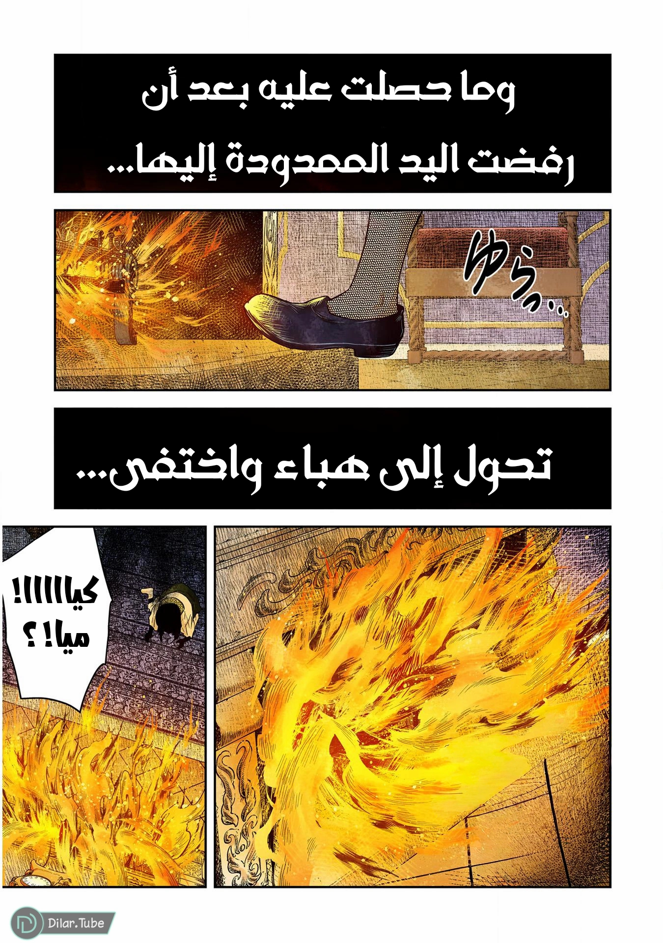 الصفحة 13