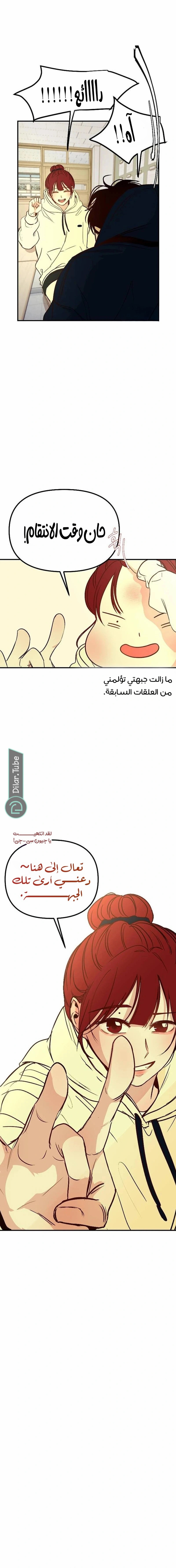الصفحة 5