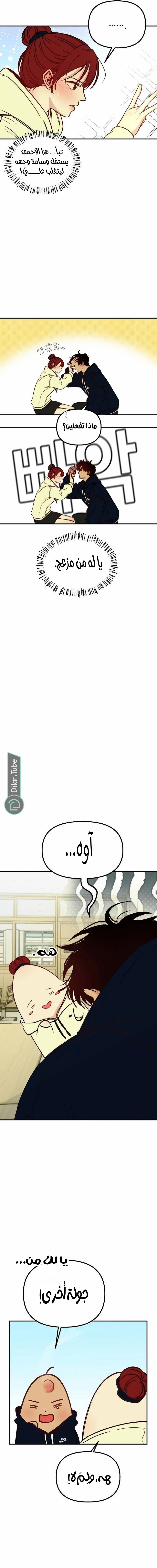 الصفحة 7